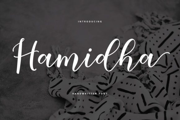 Hamidha: A Premium Script Font for Web Design