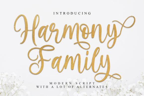 Harmony Family: A Handwritten Font for Web Design