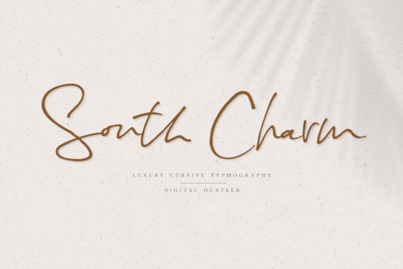 South Charm: A Delicate Script Font for Web Design